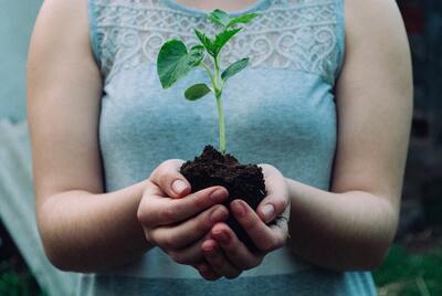 Chauffage economique  dame qui tient une repousse d'arbre